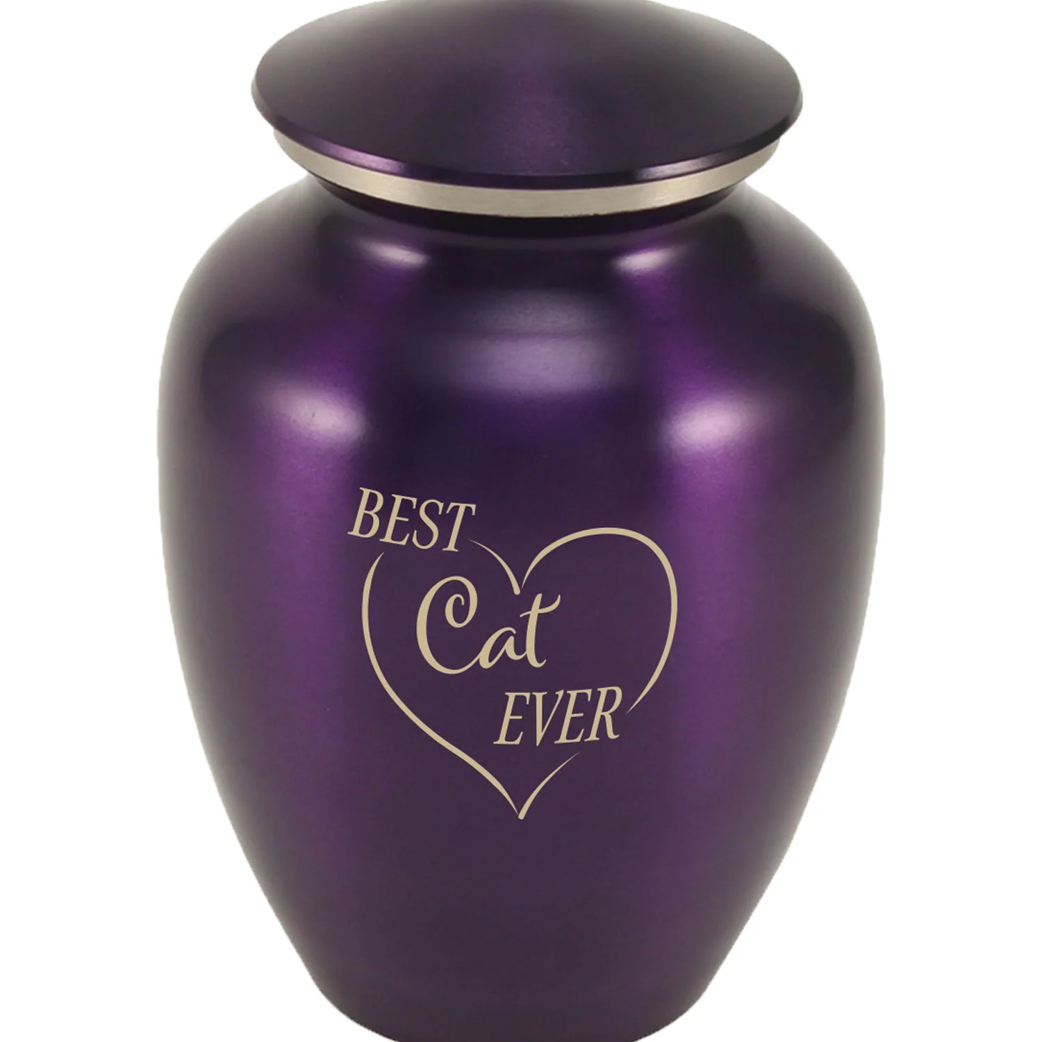 Best Cat Ever Purple Urn - Image 3