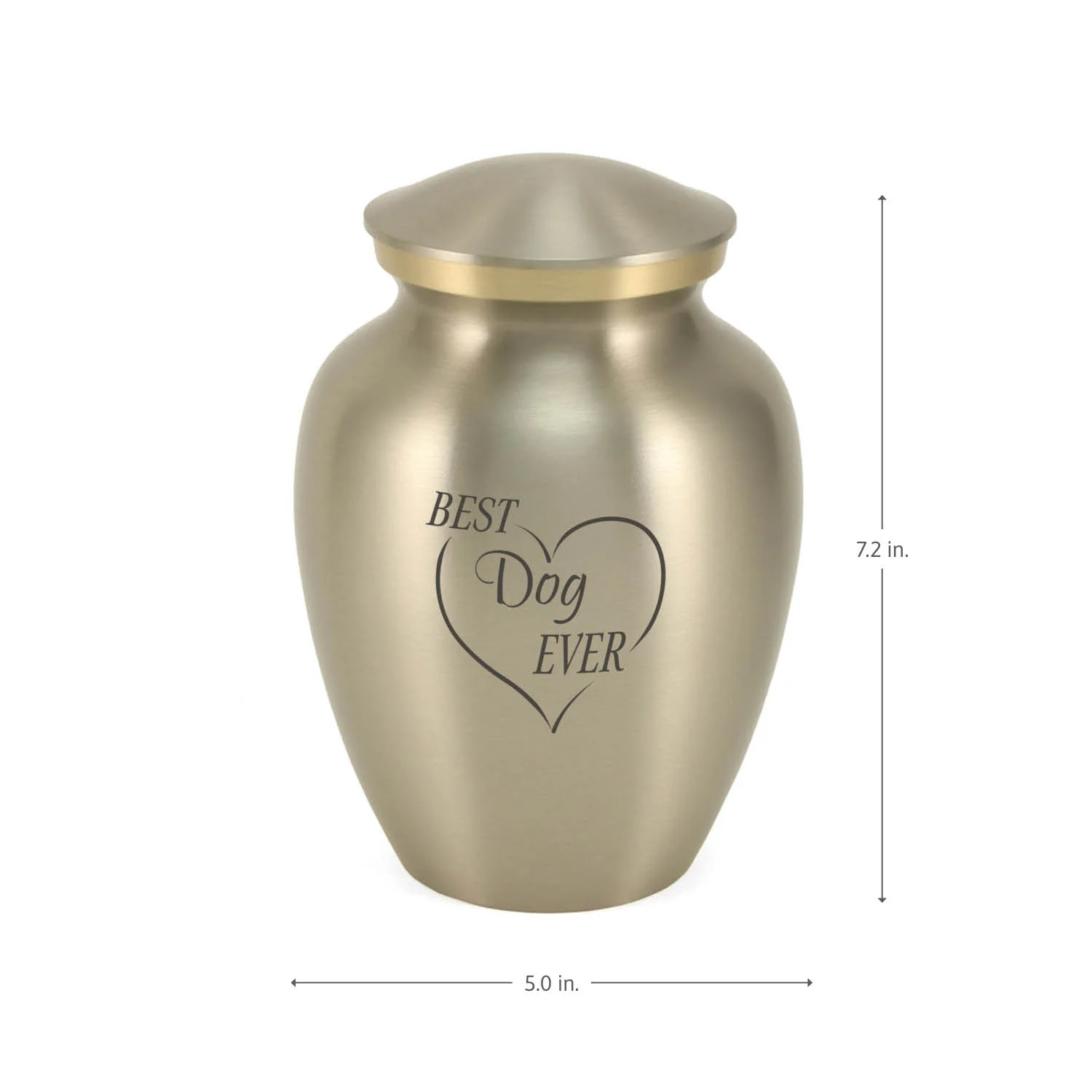 Best Dog Ever Cremation Urn - Image 4