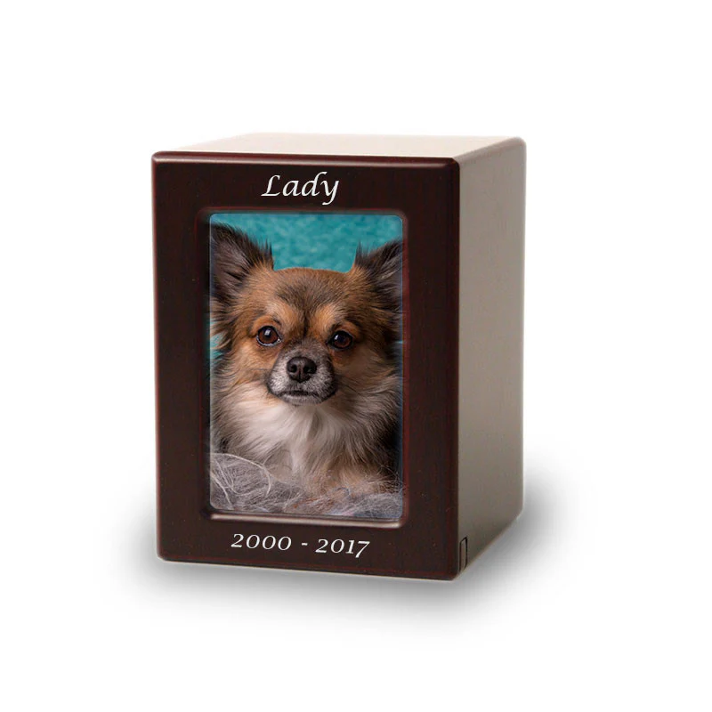 Cat Photo Cremation Urn - Image 4