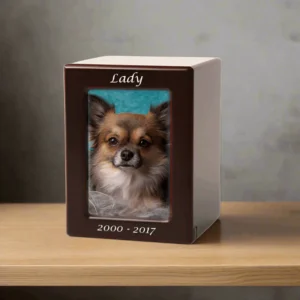 Dogs