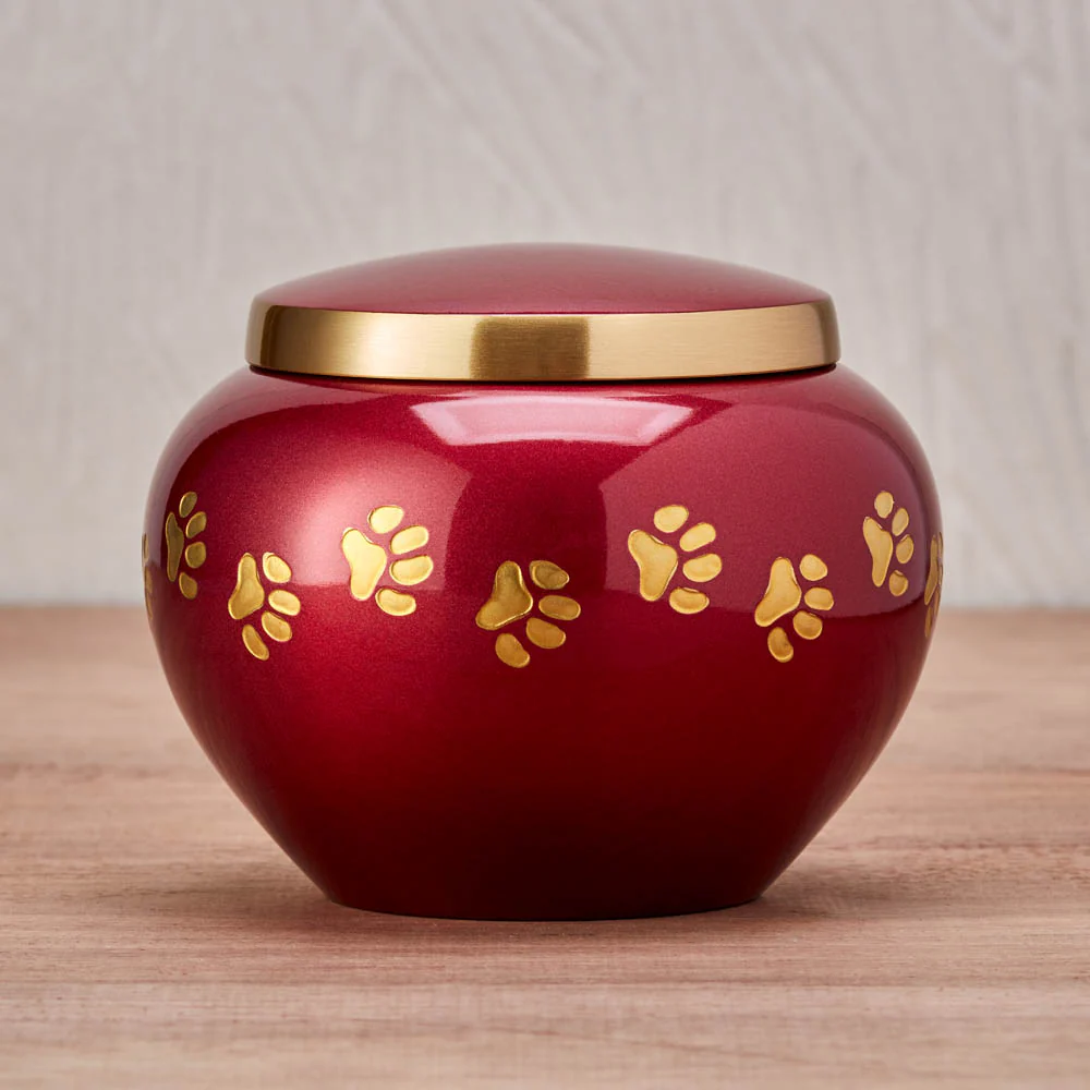 Odyssey Crimson Pet Cremation Urn - Image 2